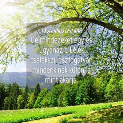 Picture 04 - 1 Korinthus 12:11 KAR - De mindezeket egy és ugyanaz a Lélek cselekszi, - Bible Verse Picture