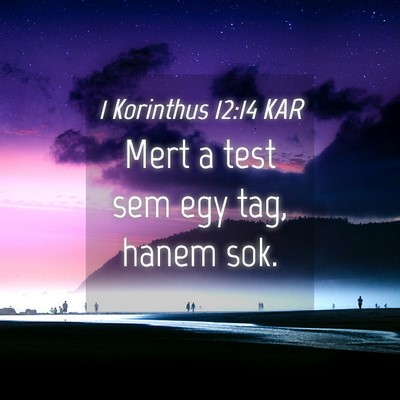 Picture 04 - 1 Korinthus 12:14 KAR - Mert a test sem egy tag, hanem - Bible Verse Picture