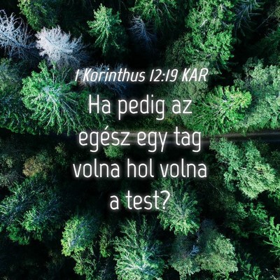 Picture 04 - 1 Korinthus 12:19 KAR - Ha pedig az egész egy tag volna hol volna a - Bible Verse Picture