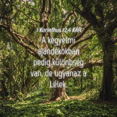 Picture 04 - 1 Korinthus 12:4 KAR - A kegyelmi ajándékokban pedig különbség van, - Bible Verse Picture