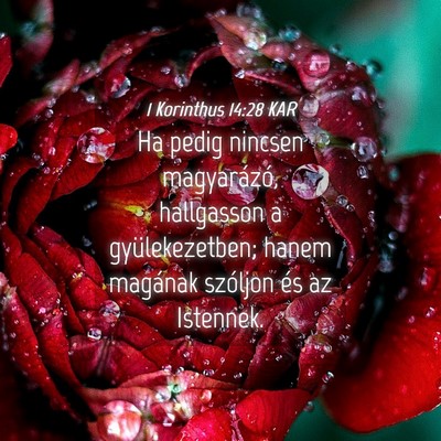 Picture 04 - 1 Korinthus 14:28 KAR - Ha pedig nincsen magyarázó, hallgasson a - Bible Verse Picture