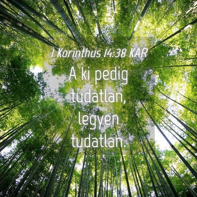 Picture 04 - 1 Korinthus 14:38 KAR - A ki pedig tudatlan, legyen - Bible Verse Picture