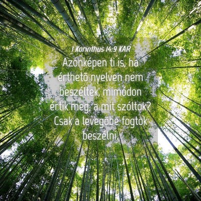 Picture 04 - 1 Korinthus 14:9 KAR - Azonképen ti is, ha érthetõ nyelven nem - Bible Verse Picture