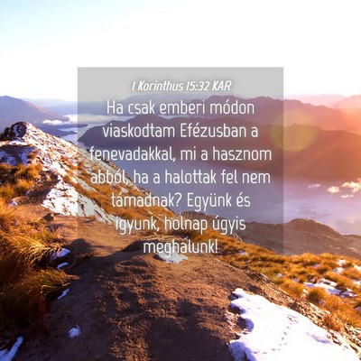 Picture 04 - 1 Korinthus 15:32 KAR - Ha csak emberi módon viaskodtam Efézusban a - Bible Verse Picture