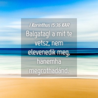 Picture 04 - 1 Korinthus 15:36 KAR - Balgatag! a mit te vetsz, nem elevenedik meg, - Bible Verse Picture