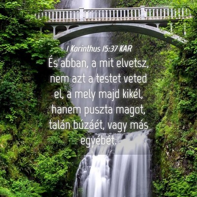 Picture 04 - 1 Korinthus 15:37 KAR - És abban, a mit elvetsz, nem azt a testet veted - Bible Verse Picture