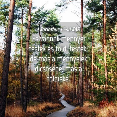 Picture 04 - 1 Korinthus 15:40 KAR - És vannak mennyei testek és földi testek; de - Bible Verse Picture