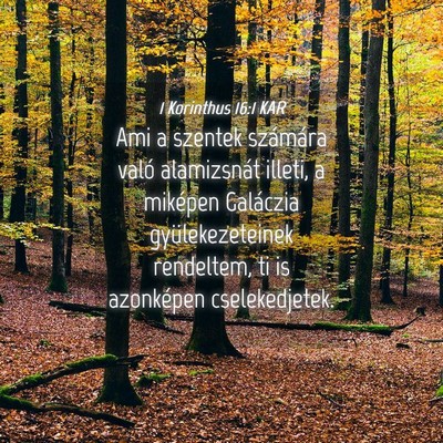 Picture 04 - 1 Korinthus 16:1 KAR - Ami a szentek számára való alamizsnát illeti, - Bible Verse Picture