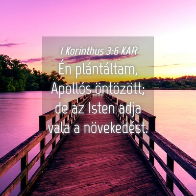 Picture 04 - 1 Korinthus 3:6 KAR - Én plántáltam, Apollós öntözött; de az - Bible Verse Picture