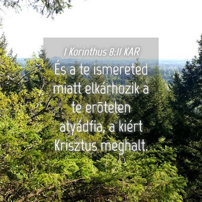 Picture 04 - 1 Korinthus 8:11 KAR - És a te ismereted miatt elkárhozik a te - Bible Verse Picture