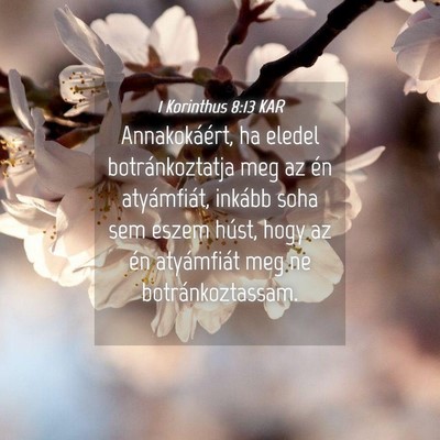 Picture 04 - 1 Korinthus 8:13 KAR - Annakokáért, ha eledel botránkoztatja meg az - Bible Verse Picture