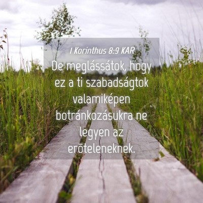Picture 04 - 1 Korinthus 8:9 KAR - De meglássátok, hogy ez a ti szabadságtok - Bible Verse Picture