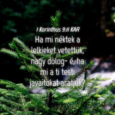 Picture 04 - 1 Korinthus 9:11 KAR - Ha mi néktek a lelkieket vetettük, nagy dolog- - Bible Verse Picture