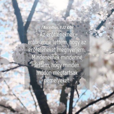 Picture 04 - 1 Korinthus 9:22 KAR - Az erõtleneknek erõtelenné lettem, hogy az - Bible Verse Picture