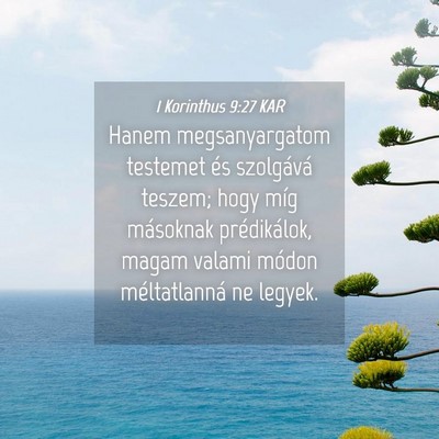 Picture 04 - 1 Korinthus 9:27 KAR - Hanem megsanyargatom testemet és szolgává - Bible Verse Picture