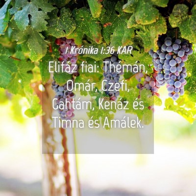 Picture 04 - 1 Krónika 1:36 KAR - Elifáz fiai: Thémán, Omár, Czefi, Gahtám, - Bible Verse Picture