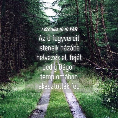 Picture 04 - 1 Krónika 10:10 KAR - Az õ fegyvereit isteneik házába helyezék el, - Bible Verse Picture