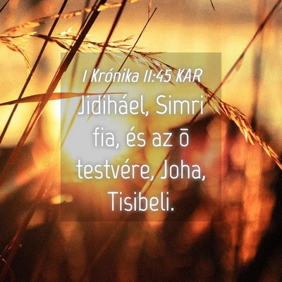 Picture 04 - 1 Krónika 11:45 KAR - Jidiháel, Simri fia, és az õ testvére, Joha, - Bible Verse Picture