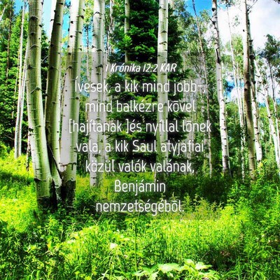 Picture 04 - 1 Krónika 12:2 KAR - Ívesek, a kik mind jobb-, mind balkézre kõvel - Bible Verse Picture