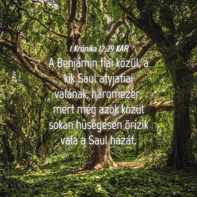 Picture 04 - 1 Krónika 12:29 KAR - A Benjámin fiai közül, a kik Saul atyjafiai - Bible Verse Picture