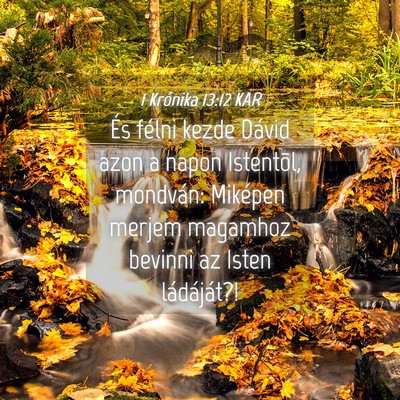 Picture 04 - 1 Krónika 13:12 KAR - És félni kezde Dávid azon a napon Istentõl, - Bible Verse Picture