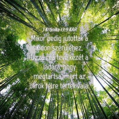 Picture 04 - 1 Krónika 13:9 KAR - Mikor pedig jutottak a Kidon szérûjéhez, Uzza - Bible Verse Picture