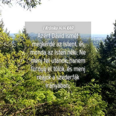 Picture 04 - 1 Krónika 14:14 KAR - Azért Dávid ismét megkérdé az Istent, és - Bible Verse Picture