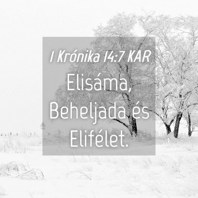 Picture 04 - 1 Krónika 14:7 KAR - Elisáma, Beheljada és - Bible Verse Picture