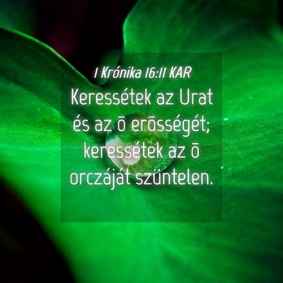 Picture 04 - 1 Krónika 16:11 KAR - Keressétek az Urat és az õ erõsségét; - Bible Verse Picture