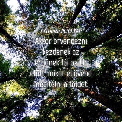 Picture 04 - 1 Krónika 16:33 KAR - Akkor örvendezni kezdenek az erdõnek fái az - Bible Verse Picture