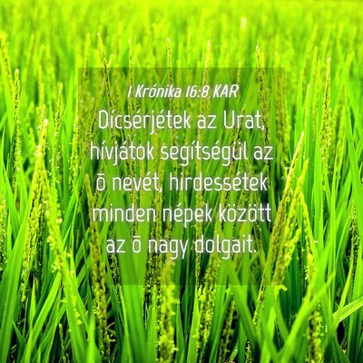 Picture 04 - 1 Krónika 16:8 KAR - Dícsérjétek az Urat, hívjátok segítségül - Bible Verse Picture