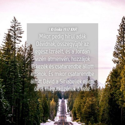 Picture 04 - 1 Krónika 19:17 KAR - Mikor pedig hírül adák Dávidnak, - Bible Verse Picture