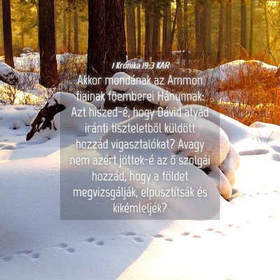 Picture 04 - 1 Krónika 19:3 KAR - Akkor mondának az Ammon fiainak fõemberei - Bible Verse Picture