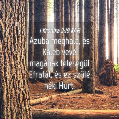 Picture 04 - 1 Krónika 2:19 KAR - Azuba meghala, és Káleb vevé magának - Bible Verse Picture