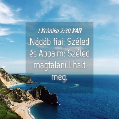 Picture 04 - 1 Krónika 2:30 KAR - Nádáb fiai: Széled és Appaim: Széled - Bible Verse Picture