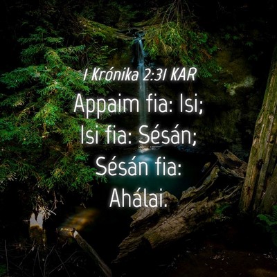 Picture 04 - 1 Krónika 2:31 KAR - Appaim fia: Isi; Isi fia: Sésán; Sésán fia: - Bible Verse Picture