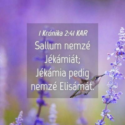 Picture 04 - 1 Krónika 2:41 KAR - Sallum nemzé Jékámiát; Jékámia pedig nemzé - Bible Verse Picture