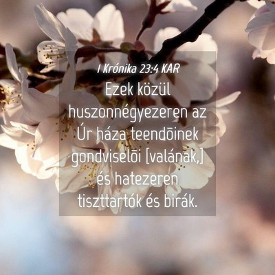 Picture 04 - 1 Krónika 23:4 KAR - Ezek közül huszonnégyezeren az Úr háza - Bible Verse Picture