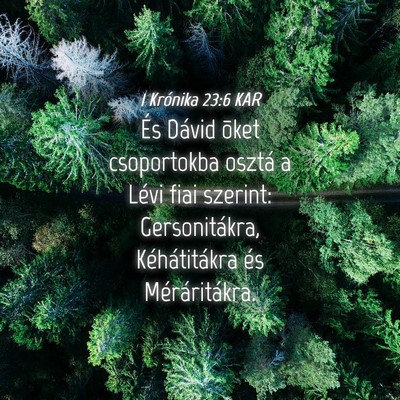 Picture 04 - 1 Krónika 23:6 KAR - És Dávid õket csoportokba osztá a Lévi fiai - Bible Verse Picture