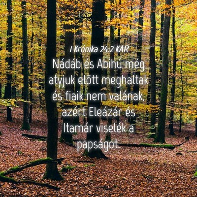 Picture 04 - 1 Krónika 24:2 KAR - Nádáb és Abihú még atyjuk elõtt meghaltak - Bible Verse Picture