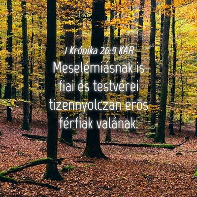 Picture 04 - 1 Krónika 26:9 KAR - Meselémiásnak is fiai és testvérei - Bible Verse Picture