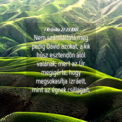 Picture 04 - 1 Krónika 27:23 KAR - Nem számláltatá meg pedig Dávid azokat, a kik - Bible Verse Picture