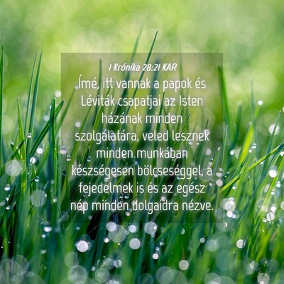 Picture 04 - 1 Krónika 28:21 KAR - Ímé, itt vannak a papok és Léviták csapatjai - Bible Verse Picture
