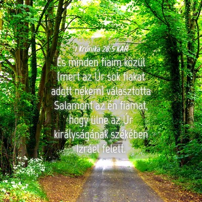 Picture 04 - 1 Krónika 28:5 KAR - És minden fiaim közül (mert az Úr sok fiakat - Bible Verse Picture