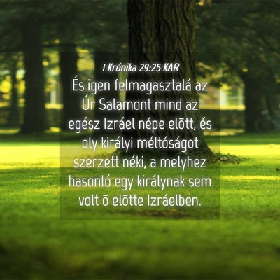 Picture 04 - 1 Krónika 29:25 KAR - És igen felmagasztalá az Úr Salamont mind az - Bible Verse Picture