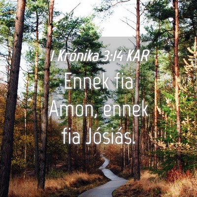 Picture 04 - 1 Krónika 3:14 KAR - Ennek fia Amon, ennek fia - Bible Verse Picture