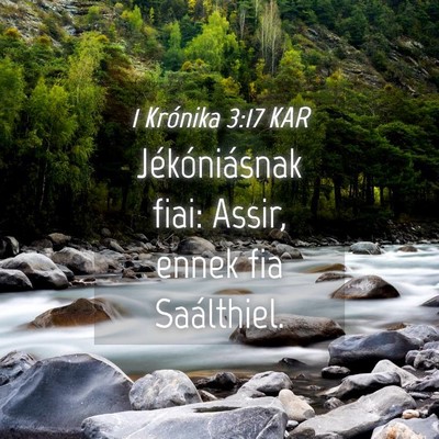 Picture 04 - 1 Krónika 3:17 KAR - Jékóniásnak fiai: Assir, ennek fia - Bible Verse Picture