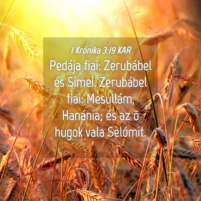 Picture 04 - 1 Krónika 3:19 KAR - Pedája fiai: Zerubábel és Simei. Zerubábel - Bible Verse Picture
