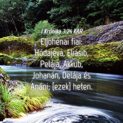 Picture 04 - 1 Krónika 3:24 KAR - Eljohénai fiai: Hódajéva, Eliásib, Pelája, - Bible Verse Picture