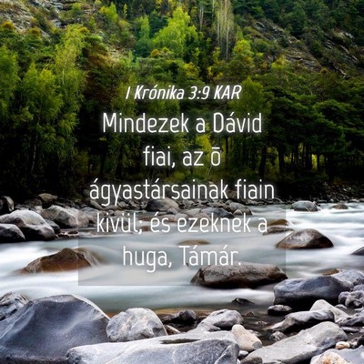Picture 04 - 1 Krónika 3:9 KAR - Mindezek a Dávid fiai, az õ ágyastársainak - Bible Verse Picture